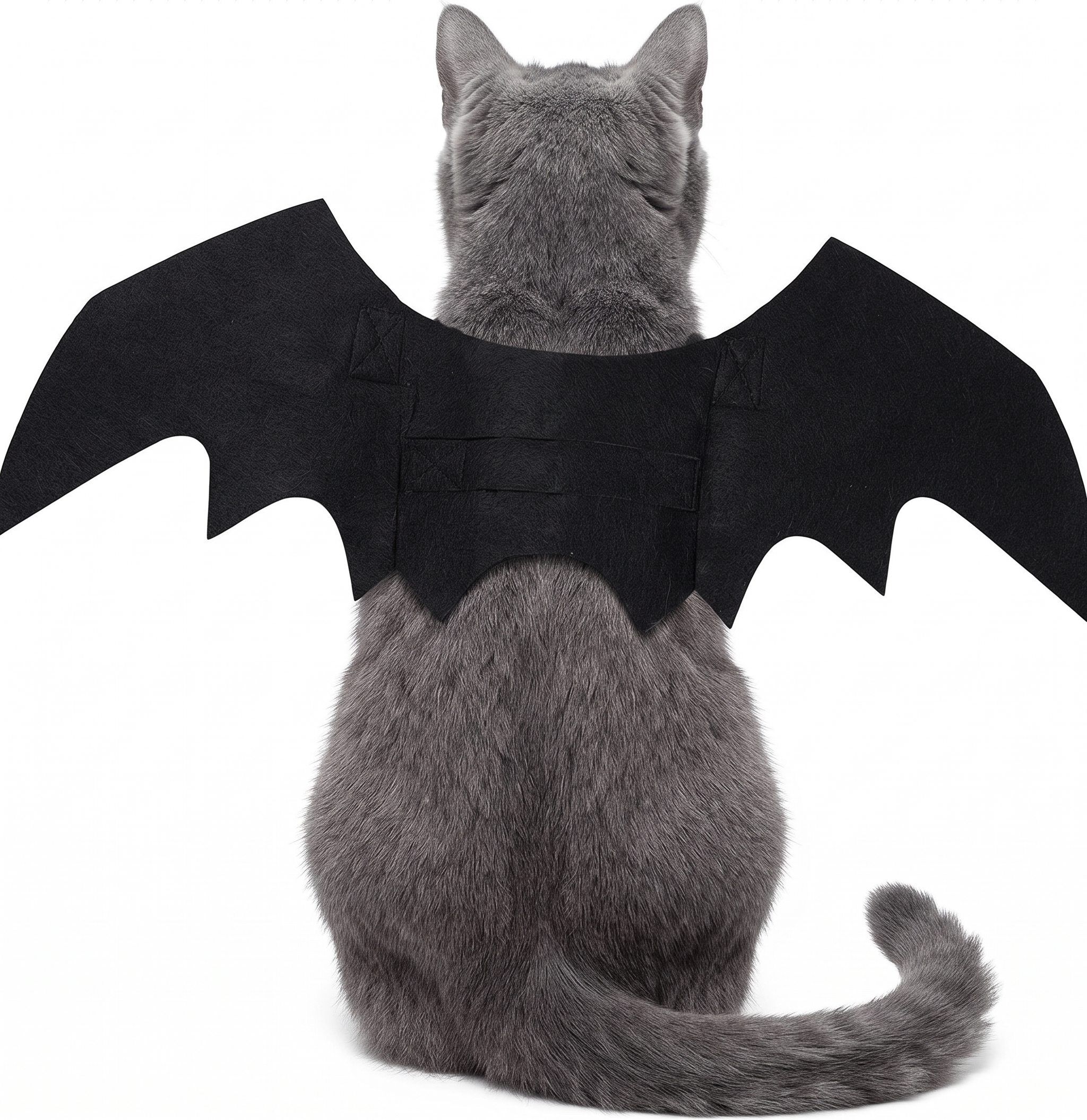 Strój Haloween dla Kot Psa - obrazek 4