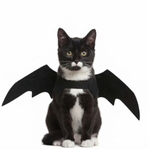 Strój Haloween dla Kot Psa